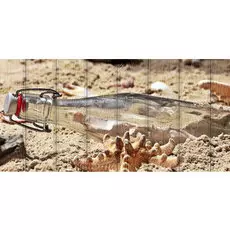 Картина Море