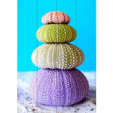 Картина Море