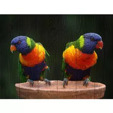 Картина Птицы