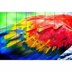 Картина Птицы