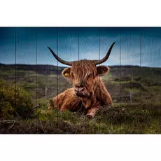 Картина Животные