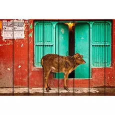 Картина Животные