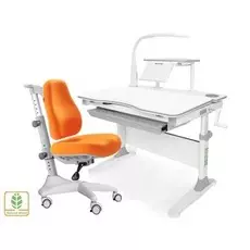 Комплект растущий парта и стул Mealux