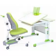 Комплект растущий парта и стул Rifforma