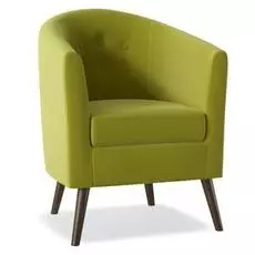 Кресло Ergonomic Green