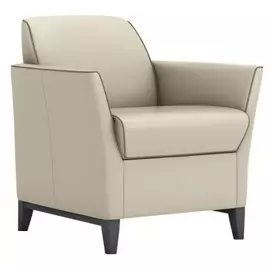 Кресло Камино