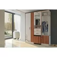 Прихожая Карина