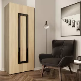 Шкаф Дизайн Люкс