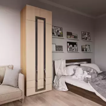 Шкаф Дизайн Люкс