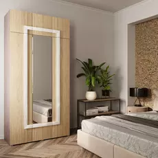 Шкаф Дизайн Люкс