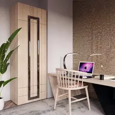 Шкаф Дизайн Люкс