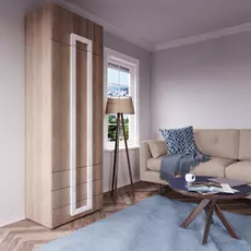 Шкаф Дизайн Люкс