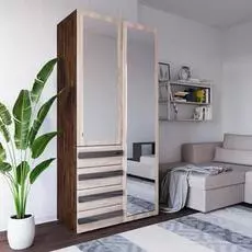 Шкаф Дизайн Люкс