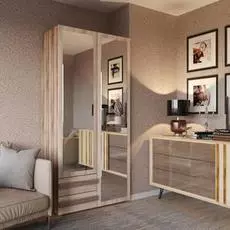 Шкаф Дизайн Люкс