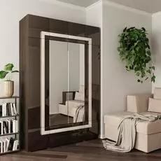 Шкаф Дизайн Люкс