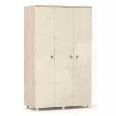 Шкаф Камелия 3