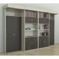 Шкаф-кровать трансформер Evolution