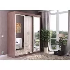 Шкаф-купе Андрей