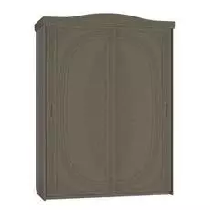 Шкаф-купе Ассоль-1