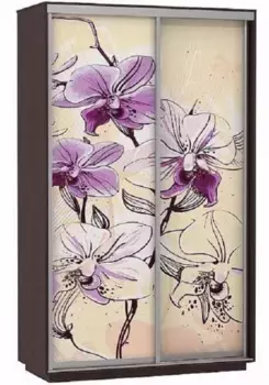 Шкаф-купе Байкал