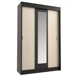 Шкаф-купе Бася