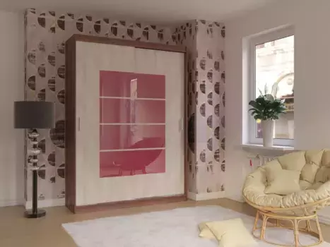 Шкаф-купе Бася дизайн