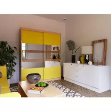 Шкаф-купе Бася дизайн