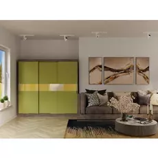 Шкаф-купе Бася дизайн