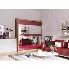 Шкаф-купе Бася дизайн