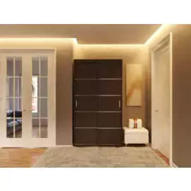 Шкаф-купе Бася дизайн
