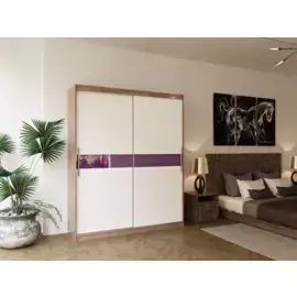 Шкаф-купе Бася дизайн