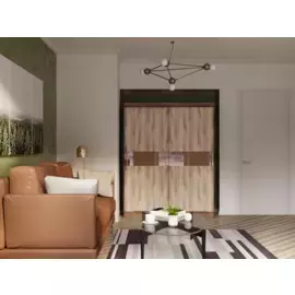 Шкаф-купе Бася дизайн