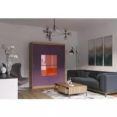 Шкаф-купе Бася дизайн