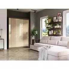 Шкаф-купе Бася дизайн