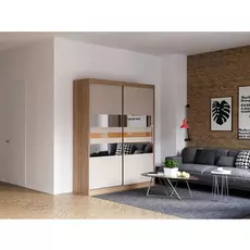 Шкаф-купе Бася дизайн