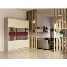 Шкаф-купе Бася дизайн