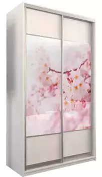 Шкаф-купе Бостон купе