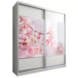 Шкаф-купе Бостон купе