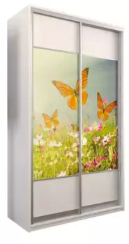 Шкаф-купе Бостон купе