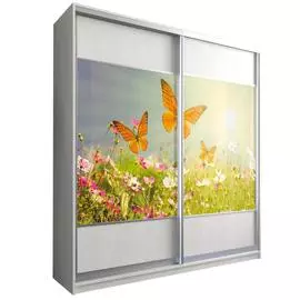 Шкаф-купе Бостон купе