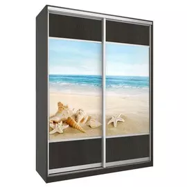 Шкаф-купе Бостон купе