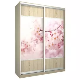 Шкаф-купе Бостон купе