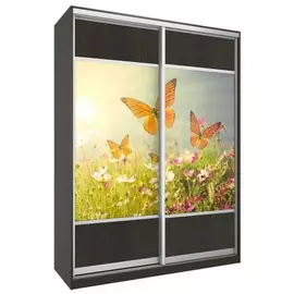 Шкаф-купе Бостон купе