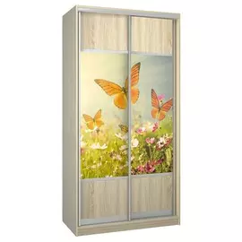 Шкаф-купе Бостон купе