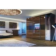 Шкаф-купе Делус Лакобель