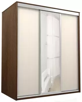 Шкаф-купе Лагуна