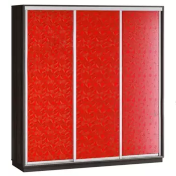 Шкаф-купе Ливерпуль 2