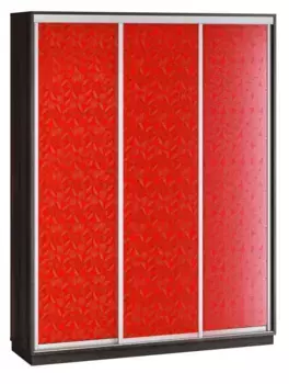 Шкаф-купе Ливерпуль 2