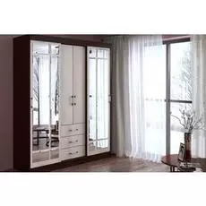 Шкаф-купе Маэстро 1