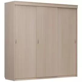 Шкаф-купе Миллениум